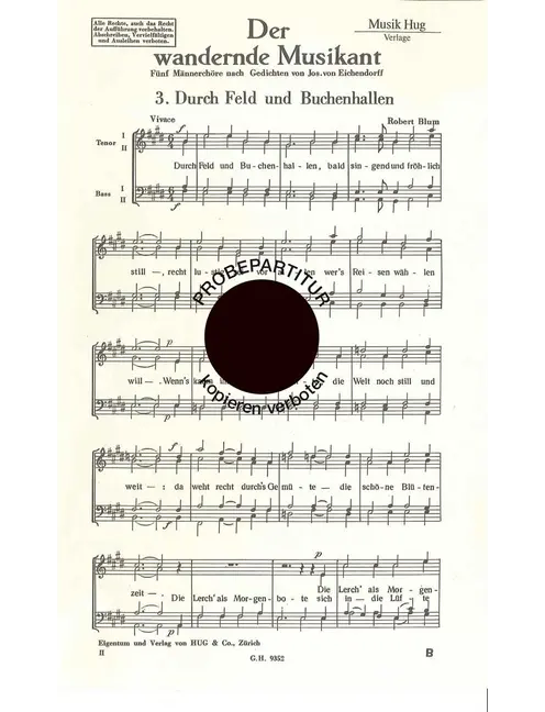 Durch Feld und Buchenhall